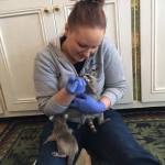 12961677_10156718762695363_6223723574668223176_n