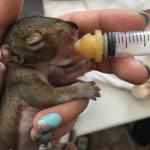 13894992_10157223884205363_5652577926515178623_n